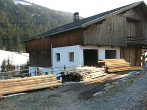 gefr&auml;&szlig;tes Rundholz